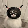 Profilbild von miaovv