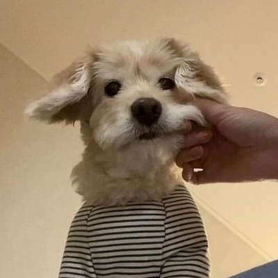 °Pie☆'s profile picture