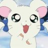 さぴ🐻❄️໒꒱ profil fotoğrafı