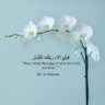 Фото профиля Ali Raza