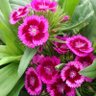 Фото профиля Simon B