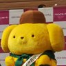 太ぁ様's profile picture