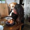 burcu k. profil fotoğrafı