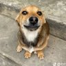 bing tang di 的头像