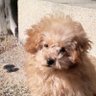 ひろみ profil fotoğrafı
