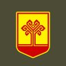 Chuvash State's profile picture