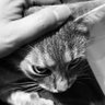 Profilbild von George
