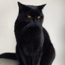 Laryda24 profil fotoğrafı