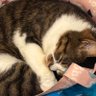 ゆうじ 的头像
