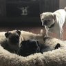 JJT's profile picture