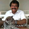 குமரேசன். நாம் தமிழர்🐯🐯🐯🐯🐯 profil fotoğrafı