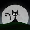 夜七猫 profil fotoğrafı