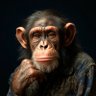 Mister Monkey_Fr profil fotoğrafı