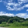 Profilbild von こけ