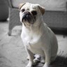 Nindokwan profil fotoğrafı