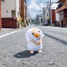 おまゆ(σ๑σ) 的头像