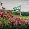 هاني profil fotoğrafı