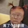 a polite citizen  的头像
