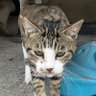きよkiyo 的头像