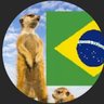 Profilbild von Suricato de direita