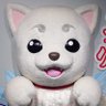sadaharu🇯🇵's profile picture