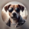 AndyTal's profile picture