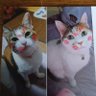 chopi33 的头像