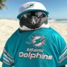 Фото профиля BipolarFinsFan🐬