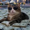 TheLazyInvestor 的头像