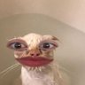 stwny's profile picture