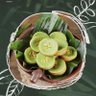 kol jengkol's profile picture