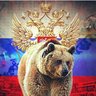 Шницель profil fotoğrafı