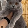 Cupalove89's profile picture