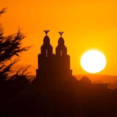 Iain Watts's profile picture
