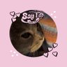 さみえる profil fotoğrafı