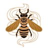 kfp's profile picture