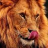 SamDee profil fotoğrafı