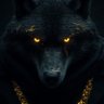 Crypto老狼(暴富猎人版💰) profil fotoğrafı