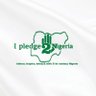 iPledge2Nigeria's profile picture