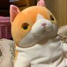 裕美 阿知和 的头像