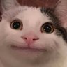 Profilbild von da guy