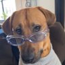 Brian's profile picture