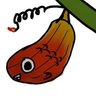 タチマ's profile picture