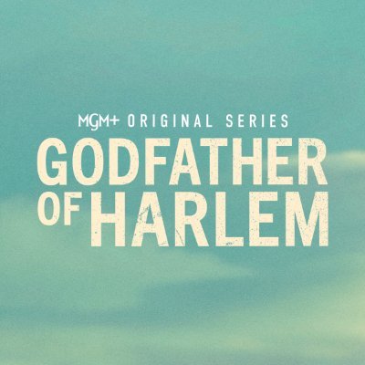 Godfather of Harlem on MGM+'s profile picture