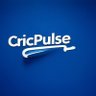 CricPulse ็ๅคดๅ