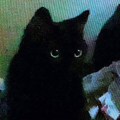 bb_calo's profile picture