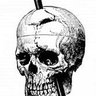 Phineas Gage's profile picture