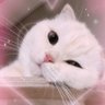 Profilbild von - Rest - ❥ ดาวเสาร์.• ྀི