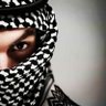 Фото профиля موسى فريد