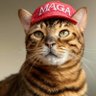 MAGA KAT 的头像